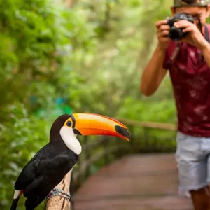 PARQUE DAS AVES  - TRANSPORTE + INGRESSO + GUIA INCLUSO