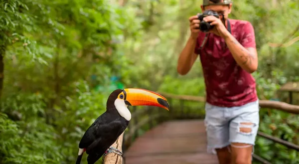 PARQUE DAS AVES  - TRANSPORTE + INGRESSO + GUIA INCLUSO