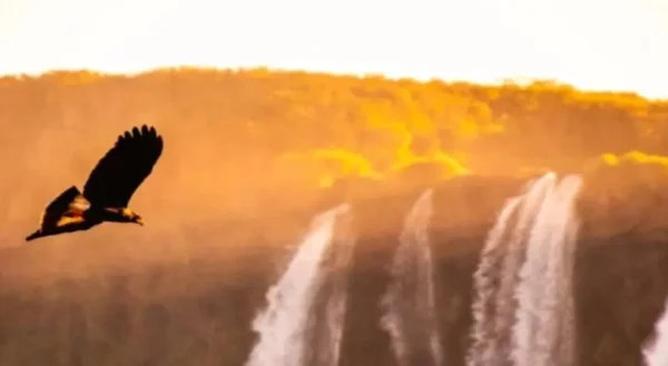 POR DO SOL NAS CATARATAS BRASILEIRAS